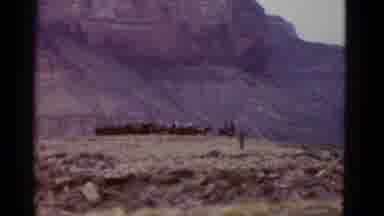Arizona USA (1952): Horses In The Desert Near Mountains
