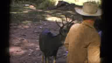 Arizona USA (1952): A Man Helps A Woman Onto A Horse And Another Man Feeds A Deer