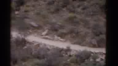 Arizona USA (1952): Home Movie Footage Of A Trail Viewed From Someone Atop A