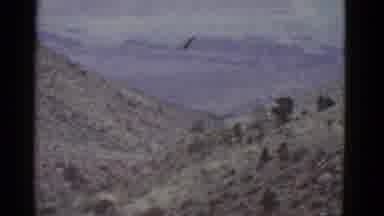 Arizona USA (1952): Camera Scans The Vast Scenic Desert Where No Wildlife Is