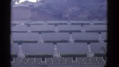 California USA (1952): View Of Green Bushes And Stone Objects On A Clear Day