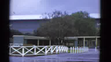 California USA (1952): There Is A Beautiful Sea Along The Bridge Trees Are Also
