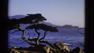 San Francisco California (1952): Looks Like A Woman Is Having Fun On A Adventure