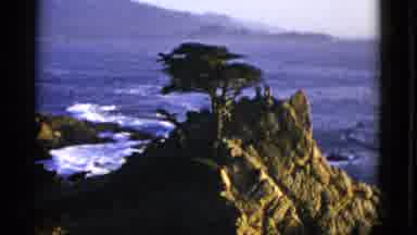 San Francisco California (1952): Beautiful Panoramic View Of A Hillside Bathed By