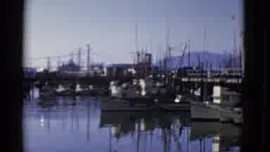 San Francisco California (1952): Sailboats Sitting By The Docks Located In A