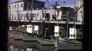 San Francisco California (1952): Panoramic View Of Busy Port Following The Arrival
