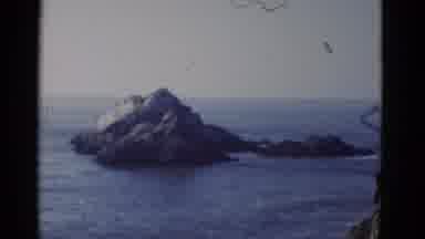 San Francisco California (1952): Vacation Video Captures Natural Beauty Including