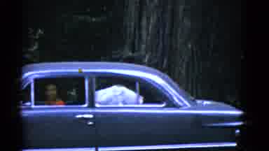San Francisco California (1953): Woman Drives Old Time Car Through Nature Forest