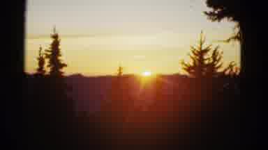 San Francisco California (1953): Stunning Yellow Sun Setting Behind Trees On A