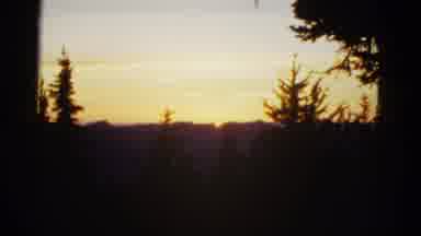 San Francisco California (1953): A View Of The Forest At Sunset