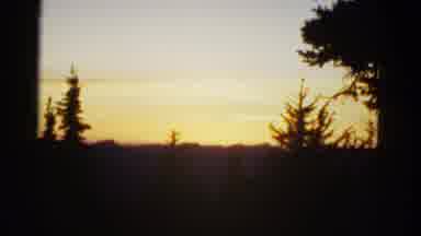 San Francisco California (1953): View Of The Sunset Trees And Nature