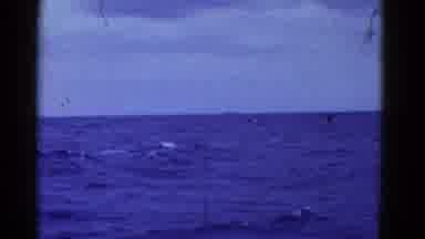 San Francisco California (1953): View Of Deep Blue Ocean Water On A Cloudy Day