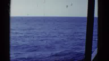 San Francisco California (1953): Traveling Over The Large Body Of Water While