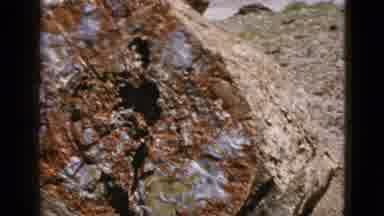 California USA (1953): Desert Rock Multi Colored And Large Followed By Landscape