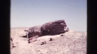 Arizona USA (1953): The Earth And Its Natural Beauty Showing How Delicate Even