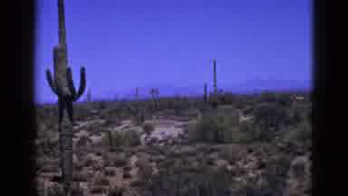 New Mexico USA (1953): A View Of A Desert With Cactus In The Foreground And