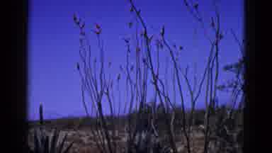 New Mexico USA (1953): Only One Car Is Standing In The Road Opposite Side Is Very