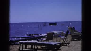 Palm Desert California (1953): Outside Sunlight Sparkly Water Sand Driftwood
