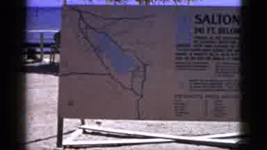 Palm Springs California (1953): It Has An Upright Image And Leaves Around It And