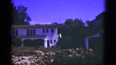 Palm Springs California (1953): A Garden Home With Heavy Rows Of Flowers Mixed