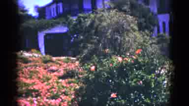 Palm Springs California (1953): Panoramic View Of The Gardens And Flowers Along A
