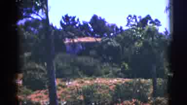 Palm Springs California (1953): The Ground Is Fully Maintained It Look Like Very