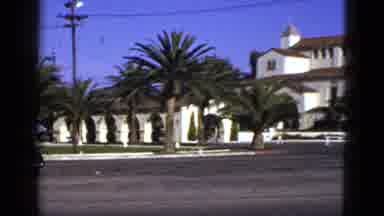 California USA (1953): View Of White Building With Large Palm Tree On A Bright