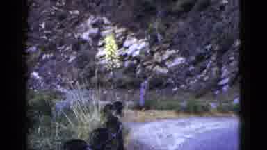 California USA (1953): A Child Is Standing Beneath A Mountain And Looking At The
