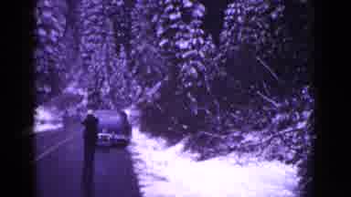 California USA (1953): Panning From Sky View Of Snow Covered Trees To People And