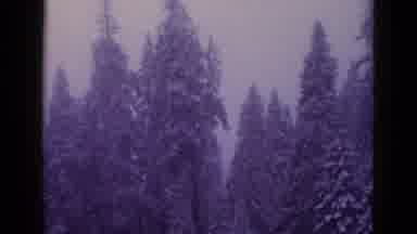 California USA (1953): A Car Sits Parked On The Side Of A Paved Road With Snow And