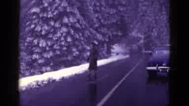 California USA (1953): Winter Season The People Are Enjoying With Vacation