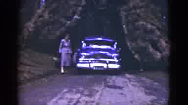 California USA (1953): Lady Walking Through A Dark Part Of The Park