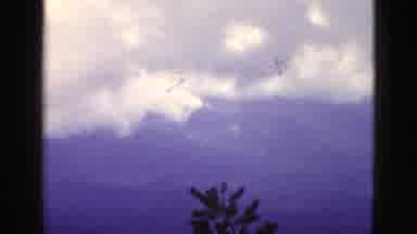 CALIFORNIA USA-1953: Panoramic View Of The Valley With Exuberant Nature And