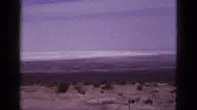 California USA (1953): Man Prepares To Remove His Slacks For A Day At The Beach As
