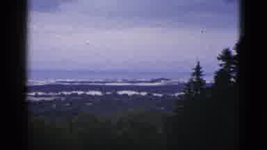 California USA (1953): Landscape View From Mountain Or Hilltop Of Green Trees Snow