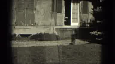 Milwaukee Wisconsin (1953): Dog Roaming In Yard While Children Appear