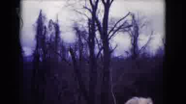 Milwaukee Wisconsin (1953): Person Standing Near Trees In Barren Field On A Cloudy