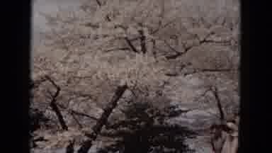 Milwaukee Wisconsin (1953): They Ride The Horse And Everyone Goes There