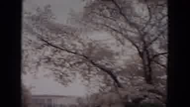 Milwaukee Wisconsin (1953): Grand Building State Capitol Monument Driving Daytime