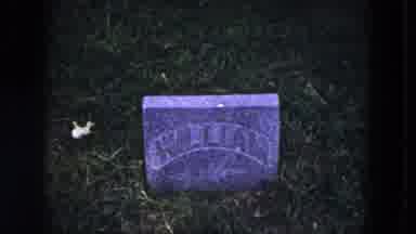 Milwaukee Wisconsin (1953): Two Different Headstones In A Cemetery One Says