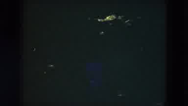 Milwaukee Wisconsin (1953): A Coloured Video Of A Woman Picking Up Items From The