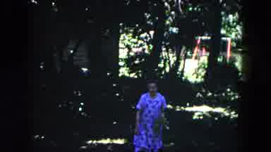 Milwaukee Wisconsin (1953): Older Woman In Blue Flowered Dress Walking With Green