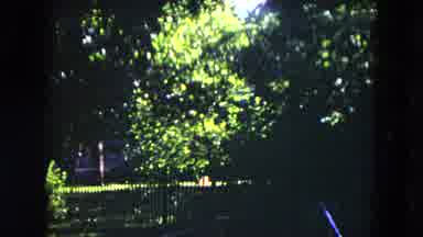 Milwaukee Wisconsin (1953): The Person Walking In The Garden To Having A