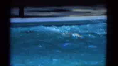 Yonkers New York (1953): Person Wearing Black Shorts Swimming Butterfly Stroke In