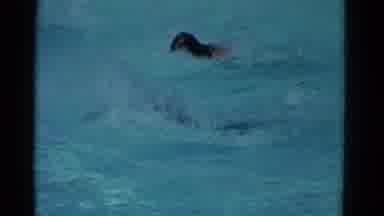 Yonkers New York (1953): Two Swimmers Compete In A Breaststroke Competition