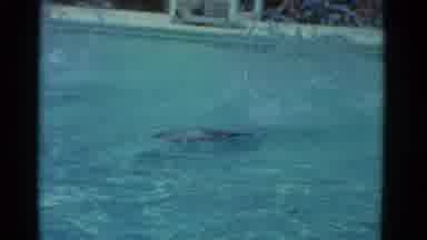 Yonkers New York (1953): The Last Thing I Heard Was On Your Mark Get Set Go