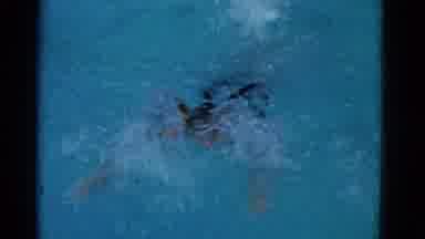 Yonkers New York (1953): Young Girl Swimming The Butterfly Style