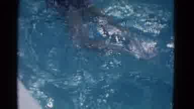 Yonkers New York (1953): A Child Goes From One Side Of The Swimming Pool To The