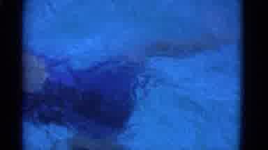 Yonkers New York (1953): A Woman In A Blue Swimsuit Swims Through The Water