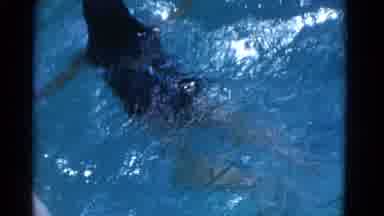 Yonkers New York (1953): People Swimming Breaststroke In Pool On A Bright Sunny